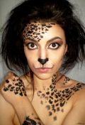 Cheetah